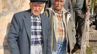 Asırlık Çınar, Yıllara Meydan Okuyor