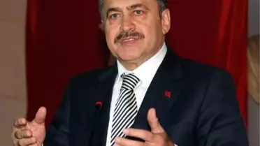 Bakanlık Çam Fidanı Dağıtacak