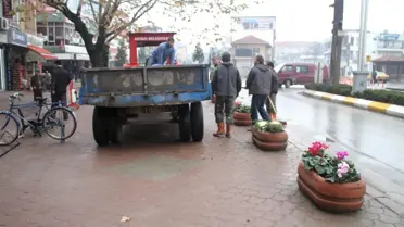 Akyazı'da Kış Aylarında Çiçek Baharı