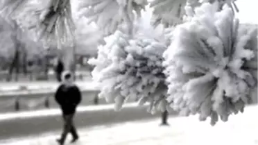 (Yeniden) - İstanbul'da Kar Yağışı Etkili Oldu