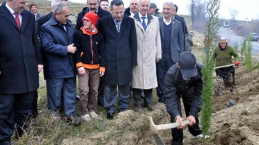 Sel Riskine Karşı Fidan Diktiler