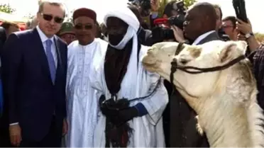 Başbakan Erdoğan: 'Bölücü Törer Örgütü Kadroları Silahı Bırakıp Türkiye'yi Terk Etmelidir'