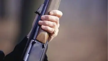 Ava Giden Avcı Kalbine Yenik Düştü