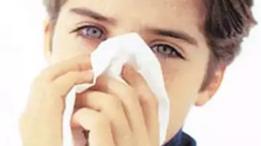 Bir Yıllık İş Kaybının % 12'sinden Grip Sorumlu!