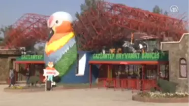 'Matilya'ya Eş Aranıyor'