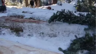 Kastamonu'da Kaliteli Sahalarda 2013 Kış Üretimleri Başladı