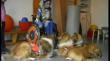 Engelleri Aşmak İçin Köpek Eğitiyor
