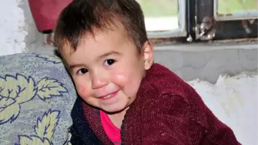 Minik Nehir'in Evinde Sinek Alarmı