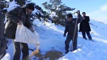 Divriği'de Doğaya Yem Bırakıldı