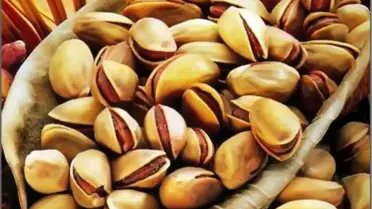 Gaziantep Ticaret Borsası