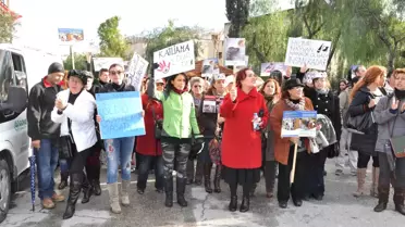 Hayvanseverler Kedi Ölümlerine Tepki İçin Yürüdü