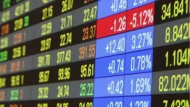 Yatırımcı Rehberi