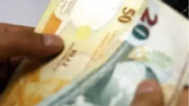 Bu İşi Yapanlar Paraya Para Demiyor