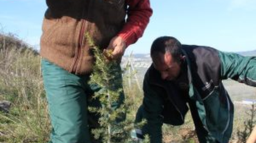 İZAYDAŞ'a 3 Yılda 25 Bin Fidan