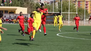 Bölgesel Amatör Lig