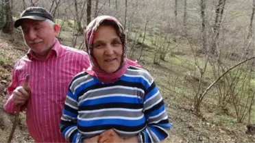 Odun Keserek Eşi ve 4 Çocuğuna Bakıyor