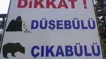 Dikkat 'Daş Düşebülü Ayı Çıkabülü'