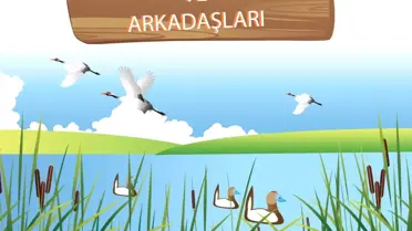 Çalık Yedaş 'Dikkuyruk'a Sahip Çıktı
