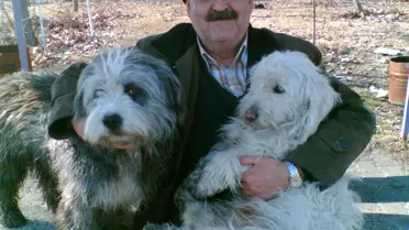 35 Yıllık Memurun Köpek Yüzünden Lojmandan Çıkarıldığı İddiası