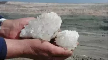 'Bor'un Kalitesini Tse Gözetleyecek