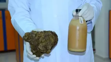 Hastalıkların Doğal Düşmanı, Propolis