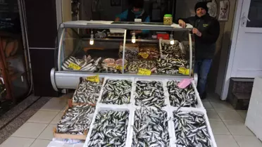 Lapseki'de Balık Fiyatları Arttı