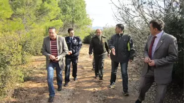 Türk Atletler Çal'da Koşacak