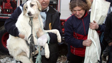 Gaziantep'te Köpek Kurtarma Operasyonu