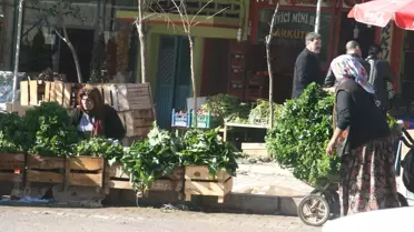Kış Aylarında Tüketilen Otlara İlgi