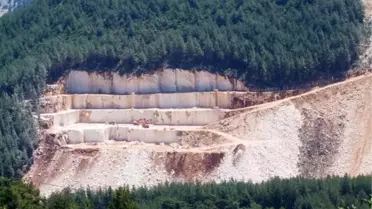Taş Ocakları Asırlık Sedir Ağaçlarını Yok Ediyor