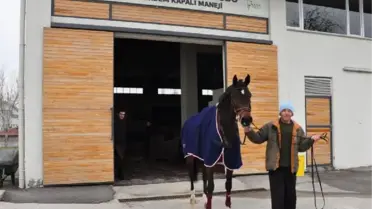 Atlarla Engelini Aştı, Ekmeğini Kazanmaya Başladı