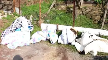 Evi Yanan Yaşlı Kadın Gözyaşlarına Boğuldu