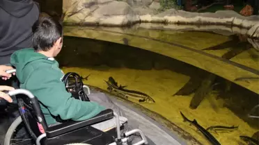 Engelli Vatandaşlar Akvaryumda Moral Buldu