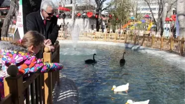 Yenilenen Kuğulupark 14 Saat Süren Şenlikle Açıldı