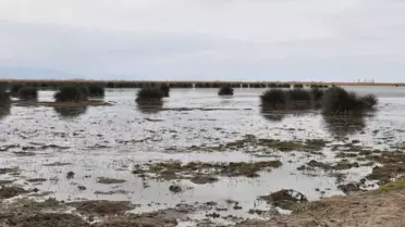 Ördek Avında Gölde Boğularak Öldü