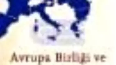 Avrupa Birliği ve İnsan Hakları Kitabı