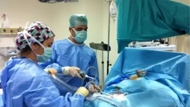 Böbrek Kist Hidatik Hastalığında Laparoskopik Yaklaşım