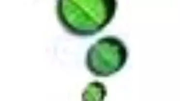 Meditasyon: En Büyük Macera Kitabı