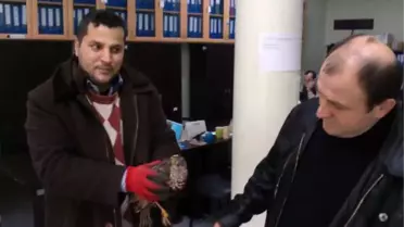 Yaralı Atmaca Koruma Altına Alındı