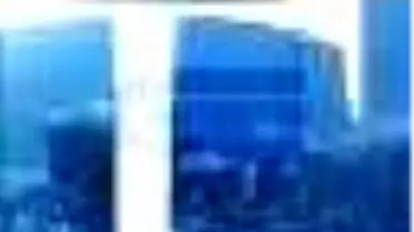 Araba Sevdası Kitabı