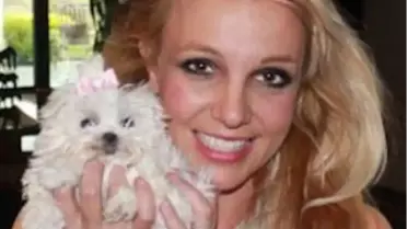 Britney Spears Hastaneye Koştu