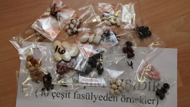 Yerel Tohumcular İnternetten Örgütlendi