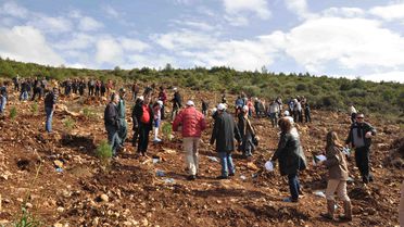 Kuşadalı Otelcilerden Hatıra Ormanı
