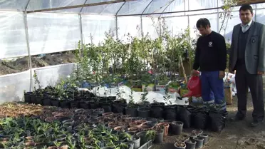 Ortaca Belediyesi Çiçeğini Kendisi Yetiştiriyor