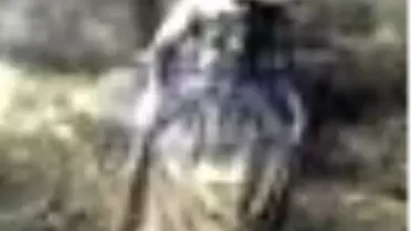 Bayan Dalloway Kitabı