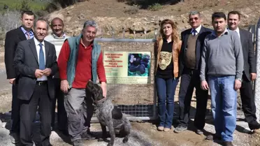 Yatağan'da Alternatif Tarım Çalışmaları