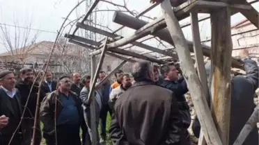 Malatya'da Üreticilere Ağaç Budama Kursu