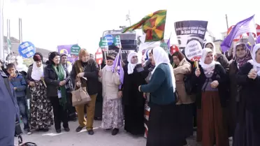 Mardin BDP'liler 8 Mart Basın Açıklaması