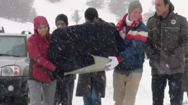 Tedavi Edilen Kaya Kartalı Artık Uçabilecek