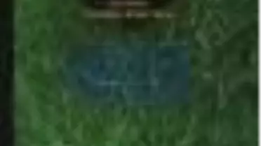 Şimşiir Ağacı Kitabı